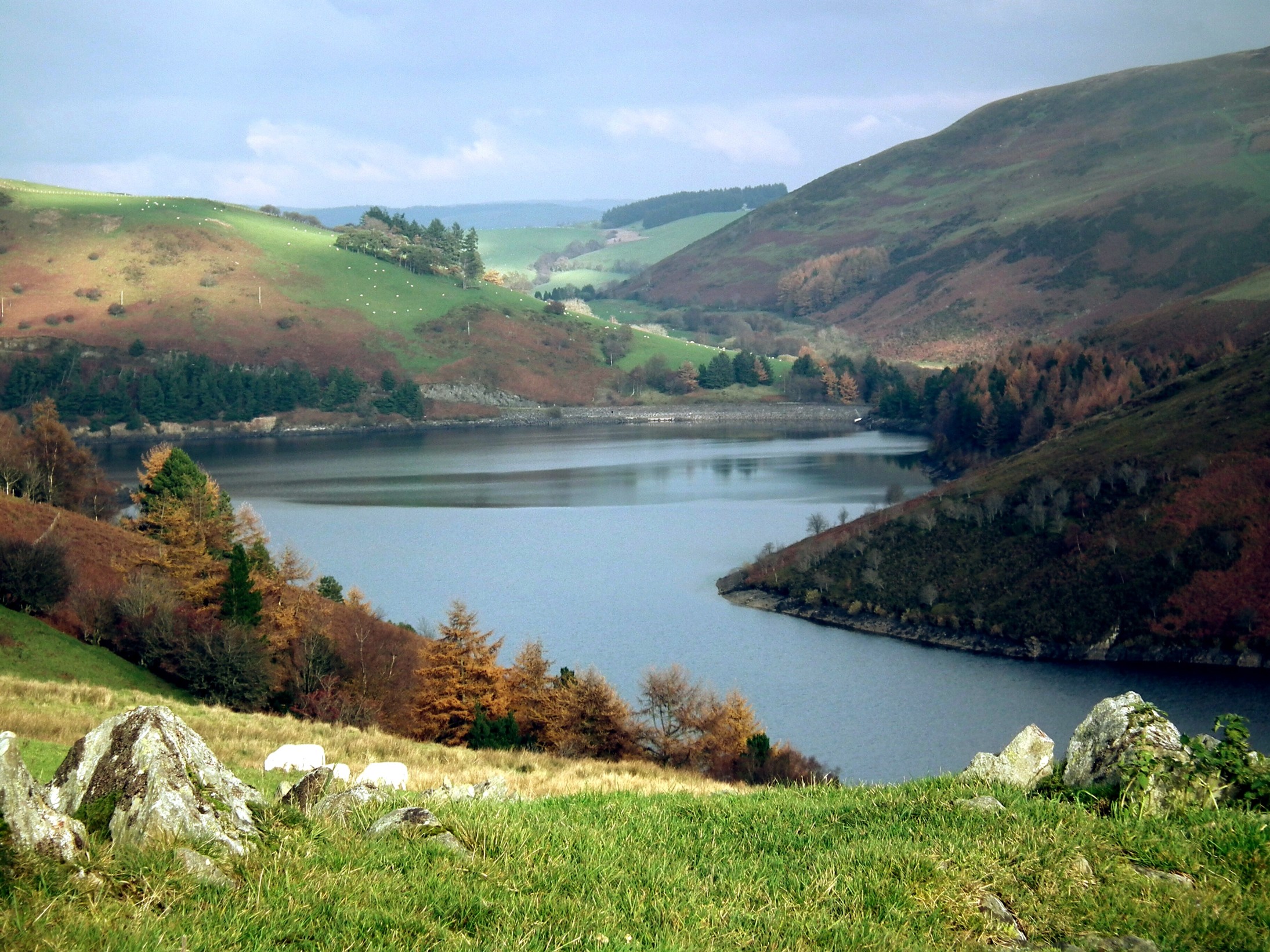 CLYWEDOG RESERVOIR Bill Bagley Photography